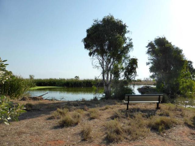 Derby Waste Water Wetlands