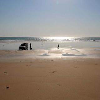 Broome Camel Safaris