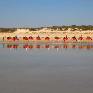 Broome Camel Safaris
