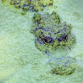 Malcolm Douglas Wilderness Wildlife Park