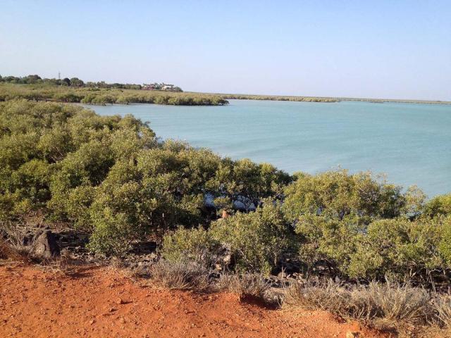 Roebuck Bay