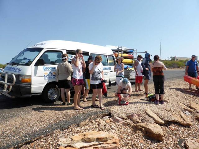 Turtle Kayak Marine Eco Adventure