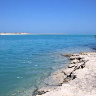 Willie Creek Pearl Farm