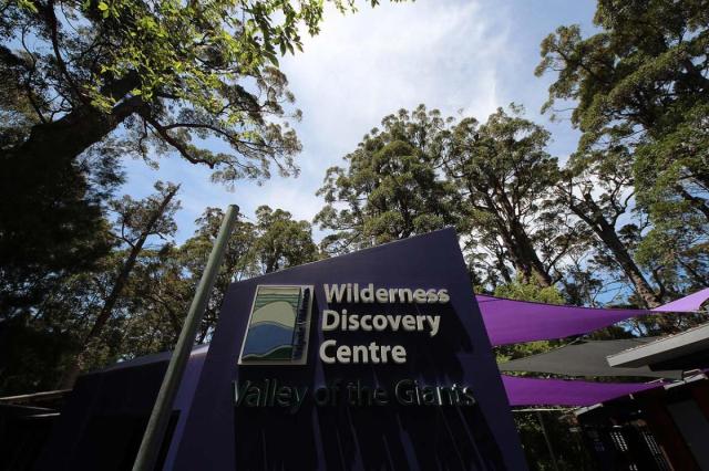 Valley of the Giants Treetop Walk