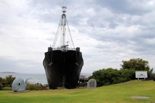 Discovery Bay Tourism Experience