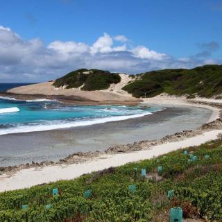 Salman Beach - Esperance