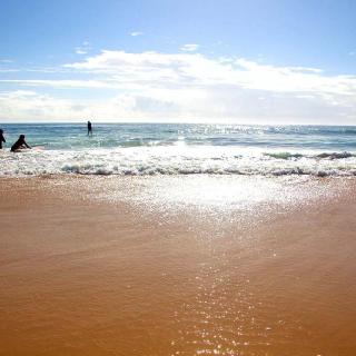 Back Beach - Black Head