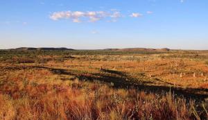 Go to Adels Grove, QLD