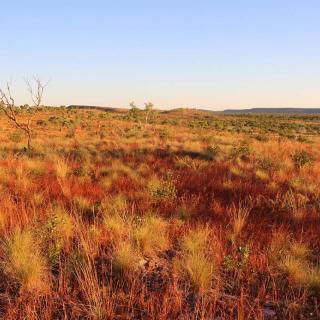 Sunset Tour - Adels Grove