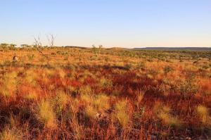 Go to Sunset Tour - Adels Grove, Adels Grove QLD