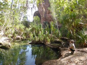 Go to Cascades Walk, Lawn Hill - Boodjamulla NP QLD