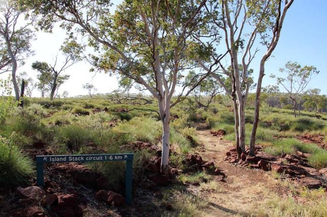 Island Stack Walk - Lawn Hill