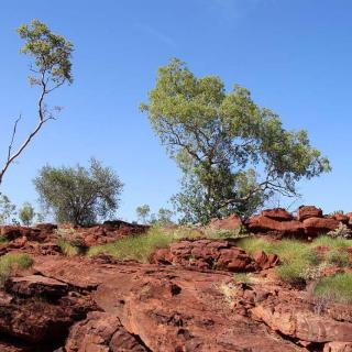 Island Stack Walk - Lawn Hill
