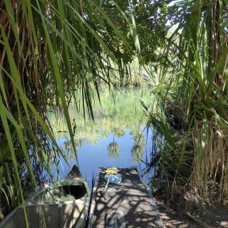 Canoeing Lawn Hill Gorge