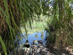 Go to Canoeing Lawn Hill Gorge, Lawn Hill - Boodjamulla NP QLD