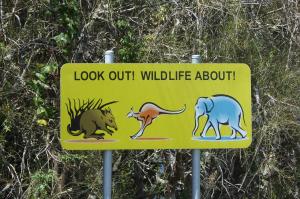 Go to Scotts Head, Scotts Head NSW