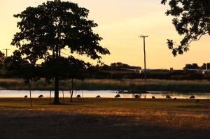 Go to Karumba Point, QLD