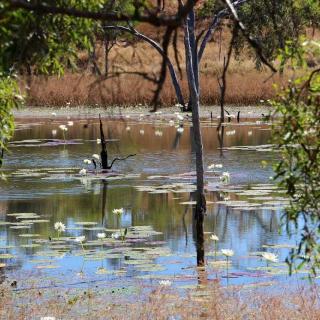 Flat Creek Station Tour