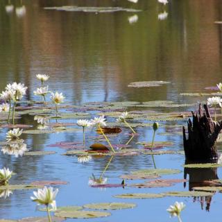 Flat Creek Station Tour