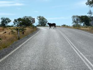 Go to Forsayth, QLD