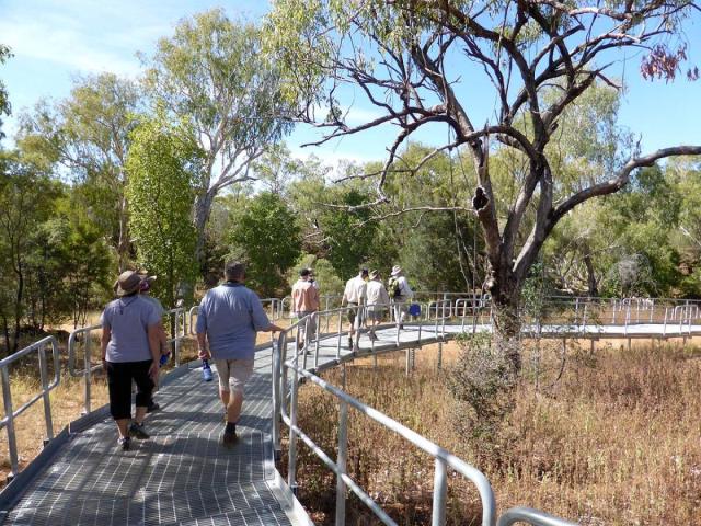 Cobbold Gorge Tours