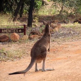 Outback Caravan Park & Camp Ground