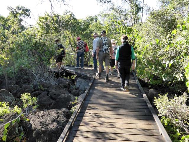 Undara Lava Tubes Tour