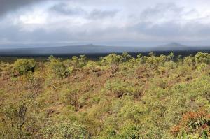 Go to Kalkani Crater, Undara Experience QLD