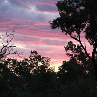 Undara Experience Sunset Tour