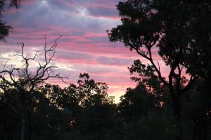 Go to Undara Experience Sunset Tour, Undara Experience QLD