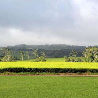 Nerada Tea Visitor Centre
