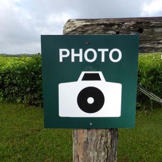 Nerada Tea Visitor Centre