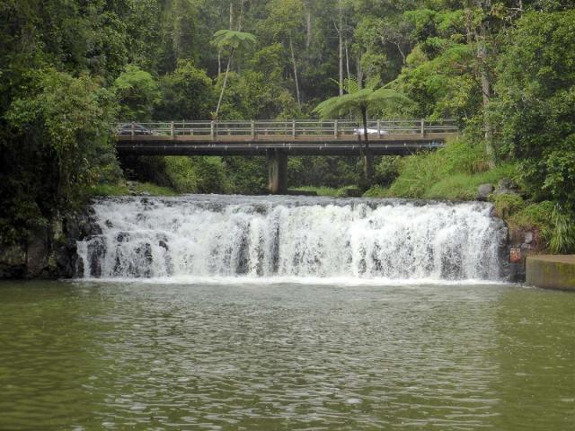 Malanda Falls Rainforest Walk