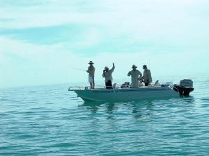 Go to Cape Don Fishing Lodge, NT 