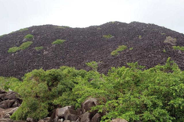 Black Mountain Rest Area