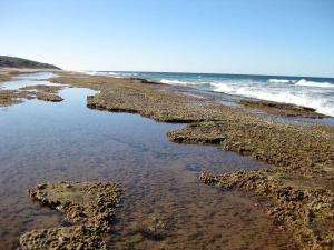 Go to Red Rocks Reef, Seventeen Seventy 1770 QLD