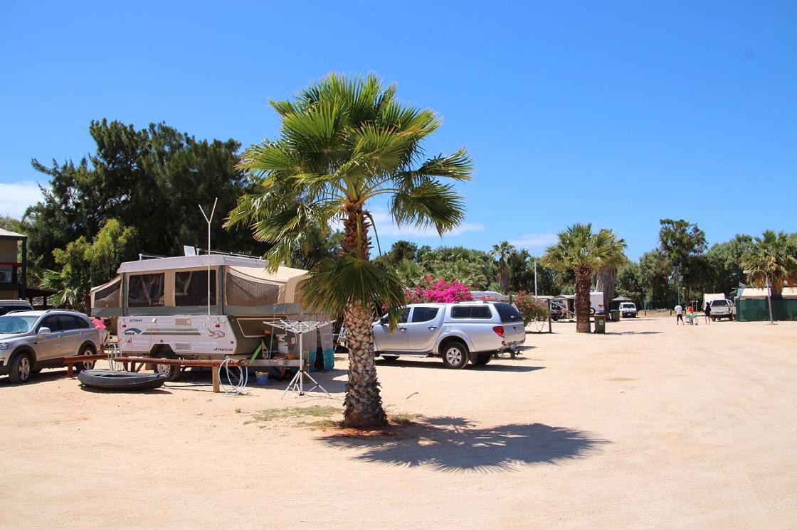 Monkey Mia Caravan Park, Monkey Mia reviewed by RvTrips Monkey Mia Caravan Park, Monkey Mia reviewed by RvTrips