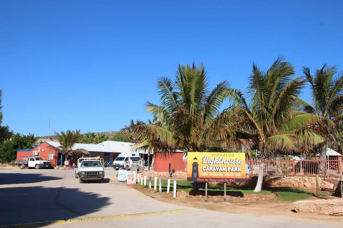Ningaloo Lighthouse Caravan Park, Cape Range NP reviewed by RvTrips