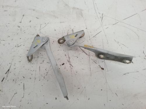 bonnet hinge/strut