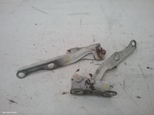 bonnet hinge/strut