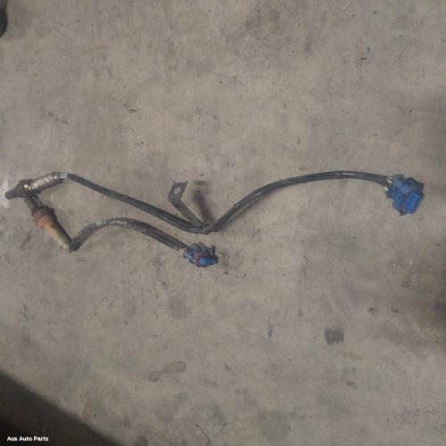 oxygen sensor