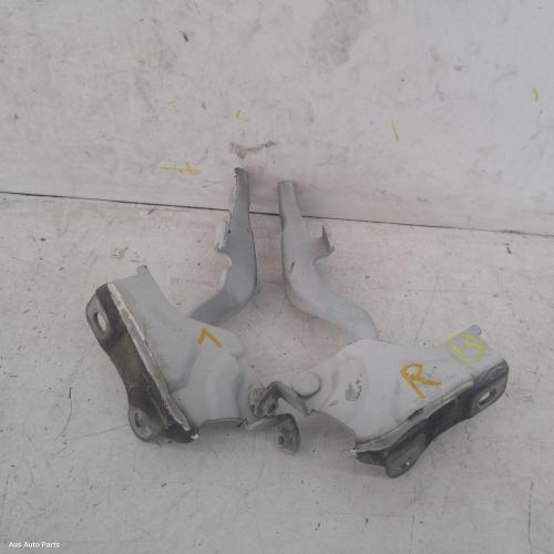 bonnet hinge/strut