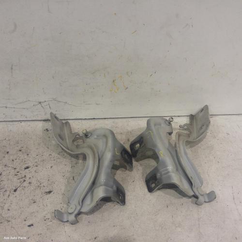 bonnet hinge/strut