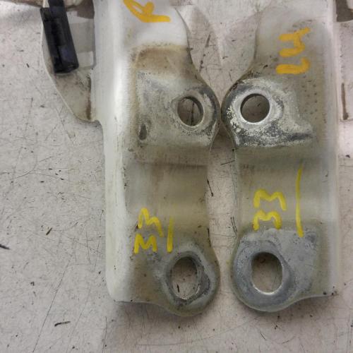 bonnet hinge/strut