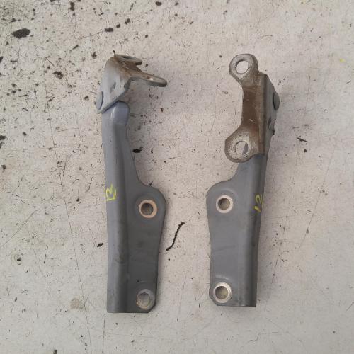 bonnet hinge/strut