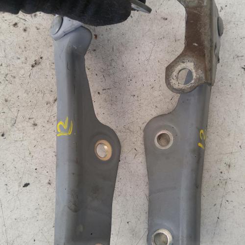 bonnet hinge/strut