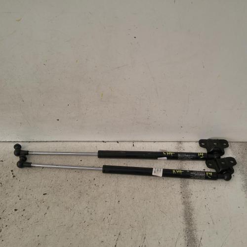bonnet hinge/strut