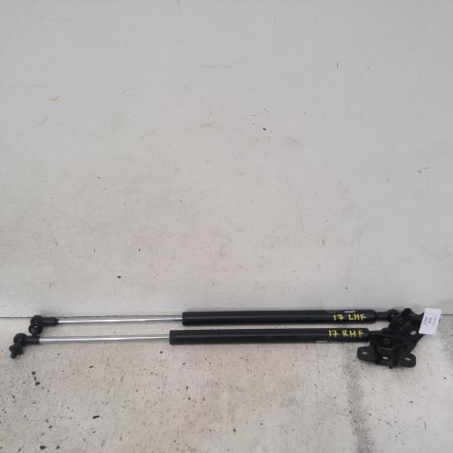 bonnet hinge/strut