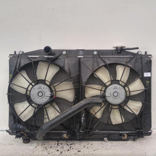 fan