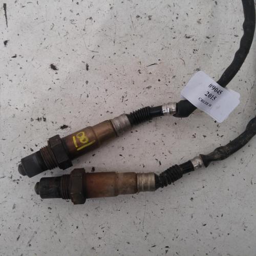 oxygen sensor